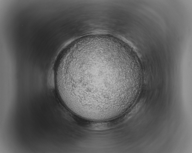 X0000102001171200808011115