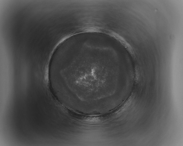 X0000102001174200808011115