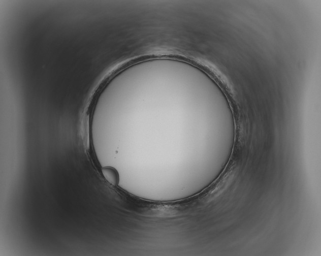 X0000102001175200808011115