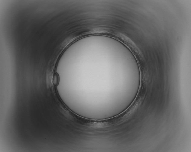 X0000102001177200808011115