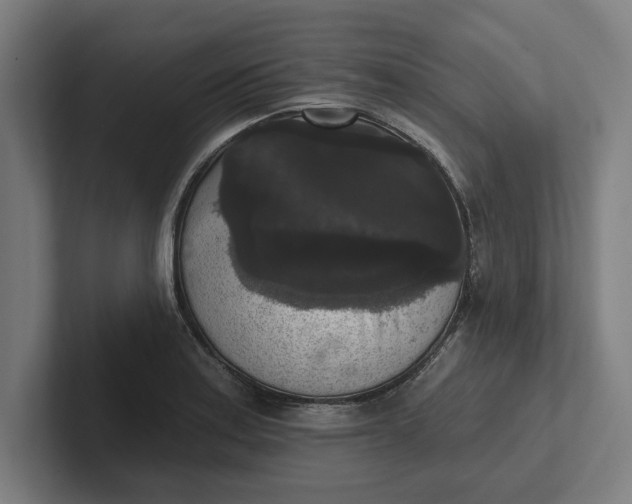 X0000102001179200808011115