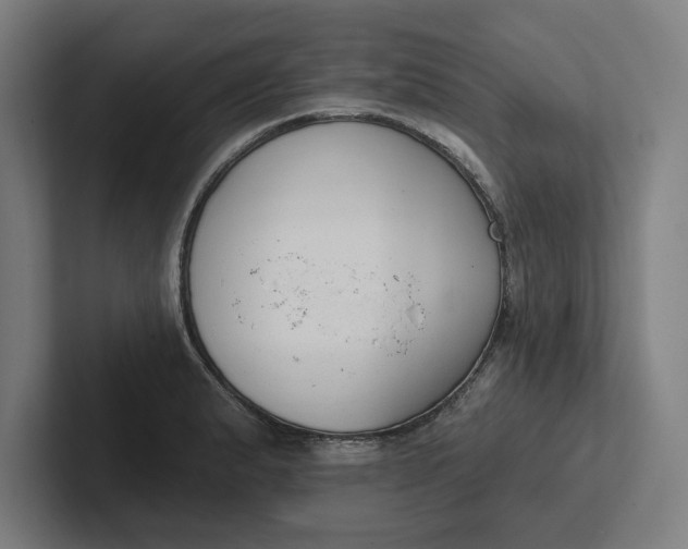 X0000102001183200808011115