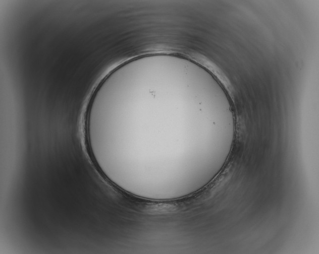 X0000102001187200808011115