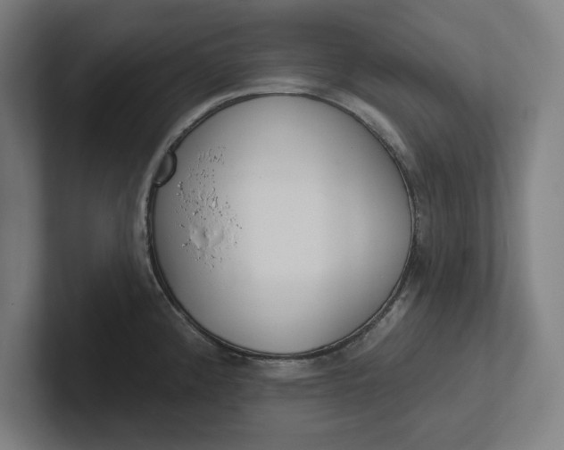 X0000102001192200808011115