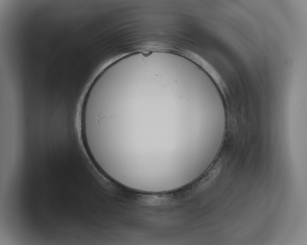 X0000102001195200808011115