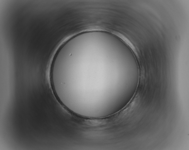 X0000102001197200808011115