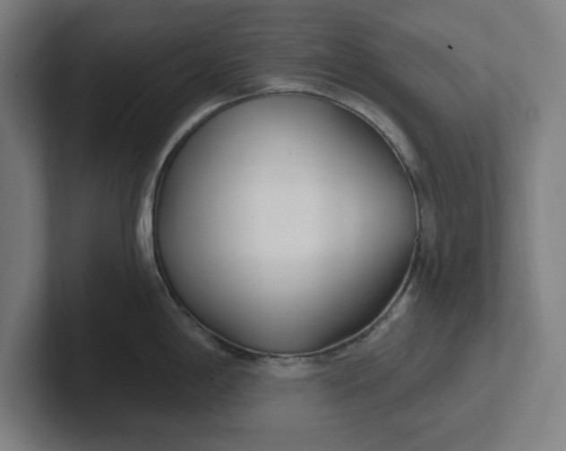 X0000102001198200808011115