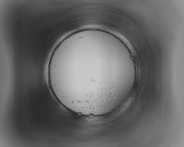 X0000102001199200808011115