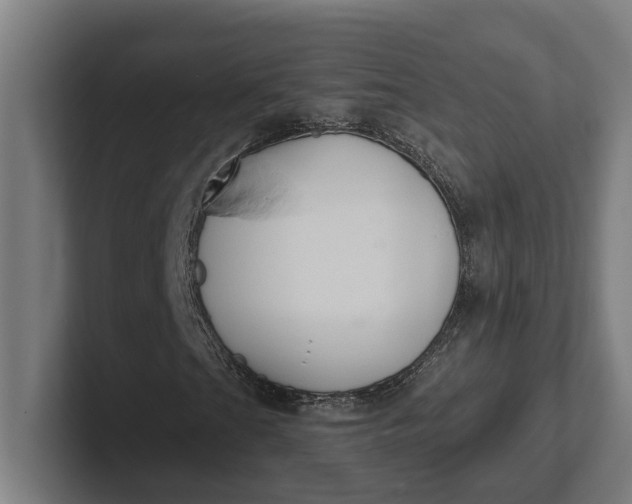 X0000102001201200808011114