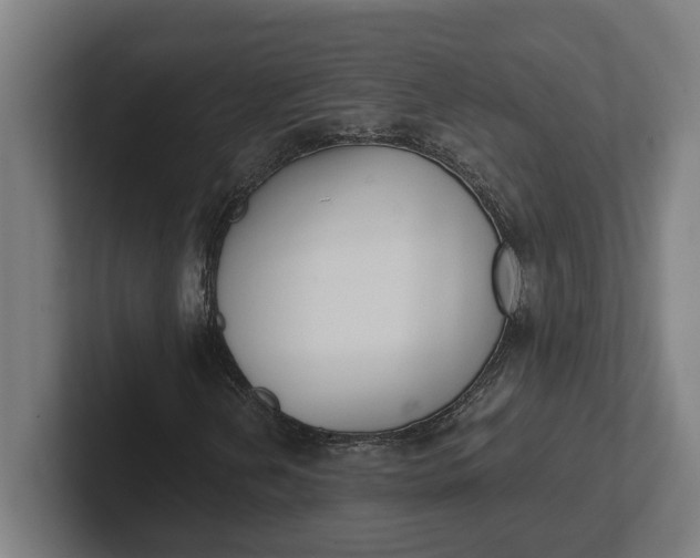 X0000102001202200808011114