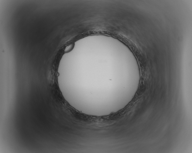 X0000102001207200808011114