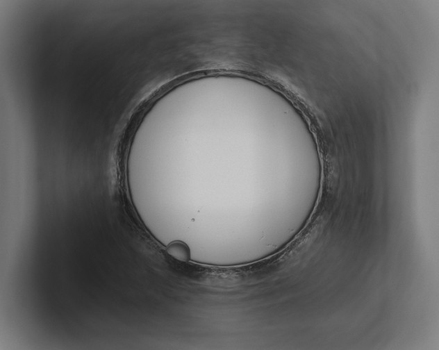 X0000102001215200808011115