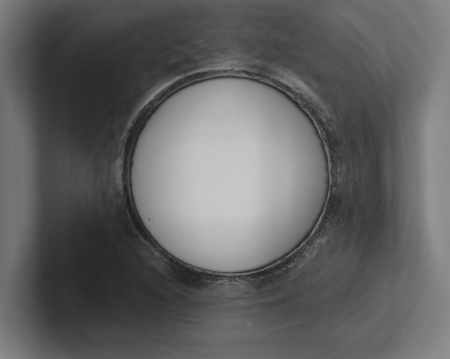 X0000102001216200808011115