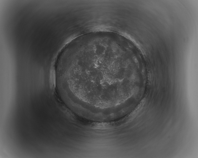 X0000102001219200808011115