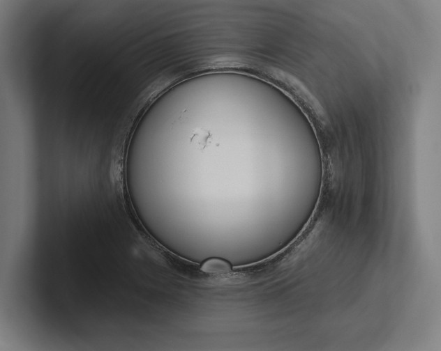 X0000102001225200808011115