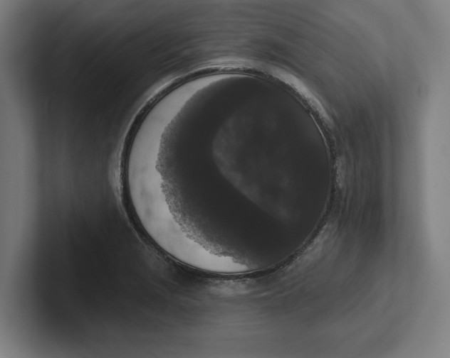 X0000102001229200808011115