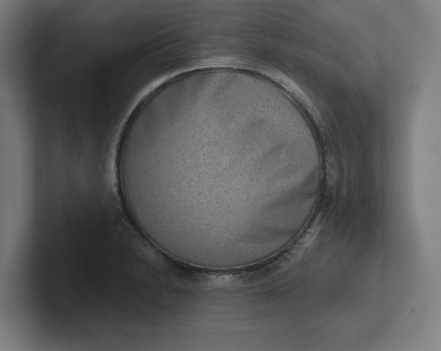 X0000102001230200808011115