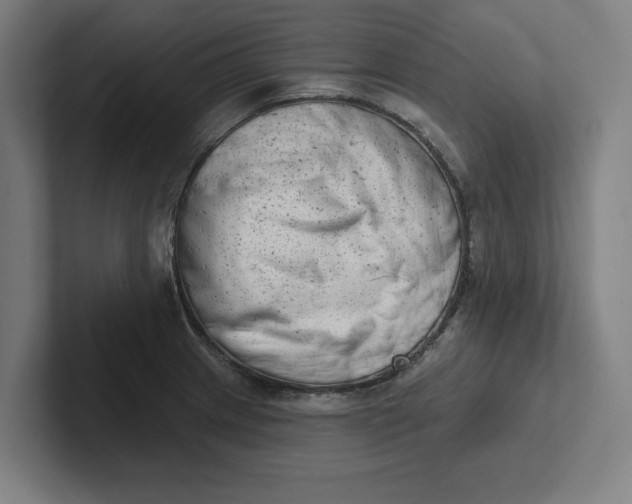 X0000102001233200808011115