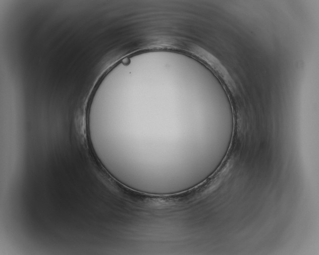 X0000102001234200808011115