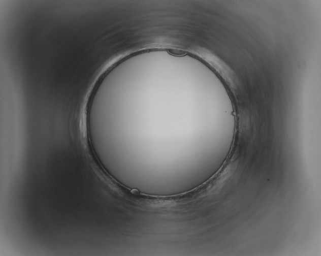 X0000102001238200808011115