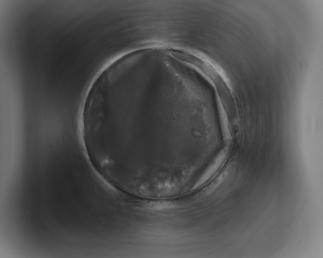 X0000102001239200808011115