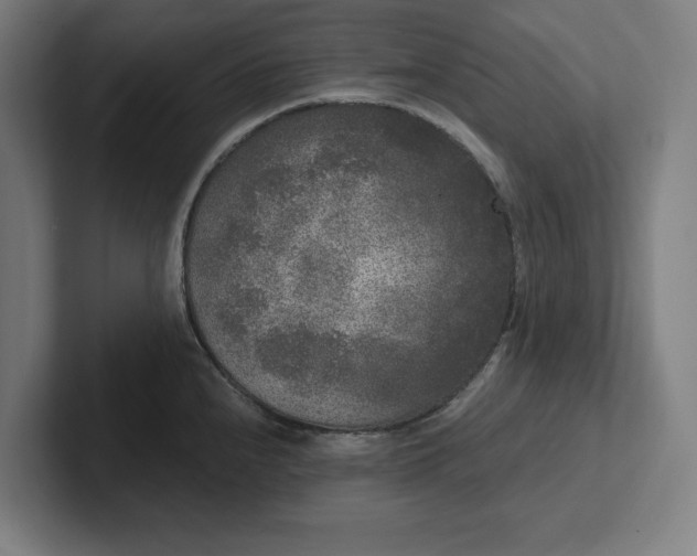 X0000102001240200808011115