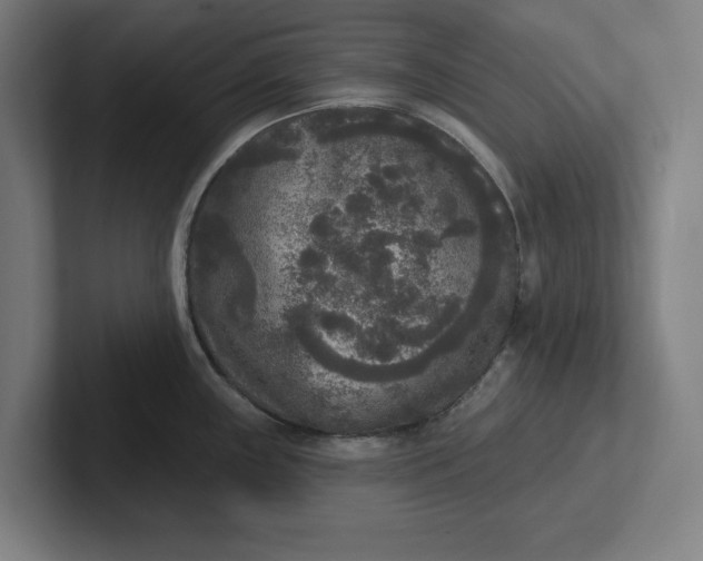 X0000102001243200808011115