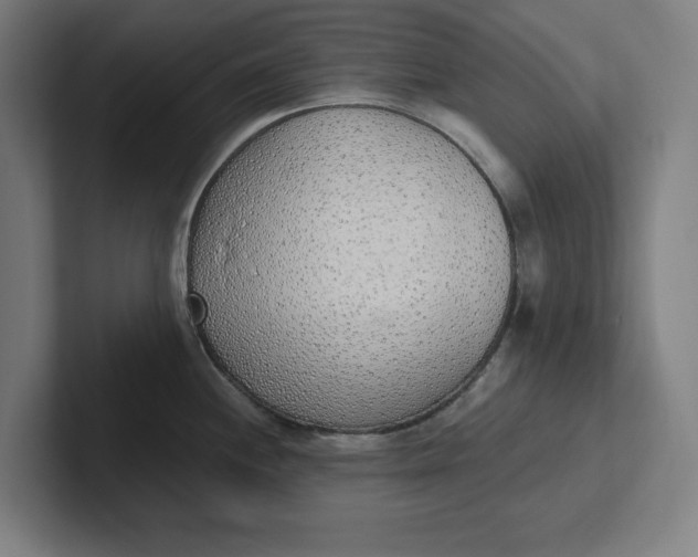 X0000102001244200808011115