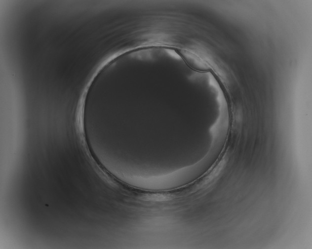 X0000102001246200808011115