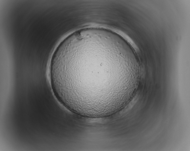 X0000102001247200808011115