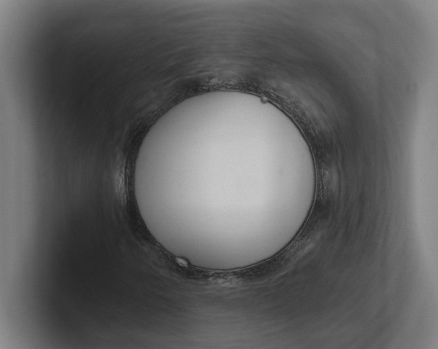 X0000102001250200808011114