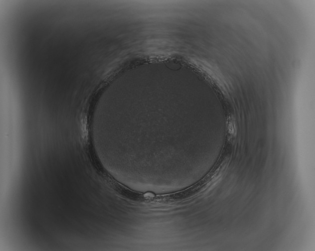 X0000102001252200808011114