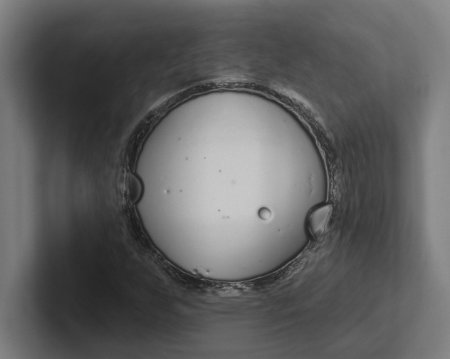 X0000102001255200808011114