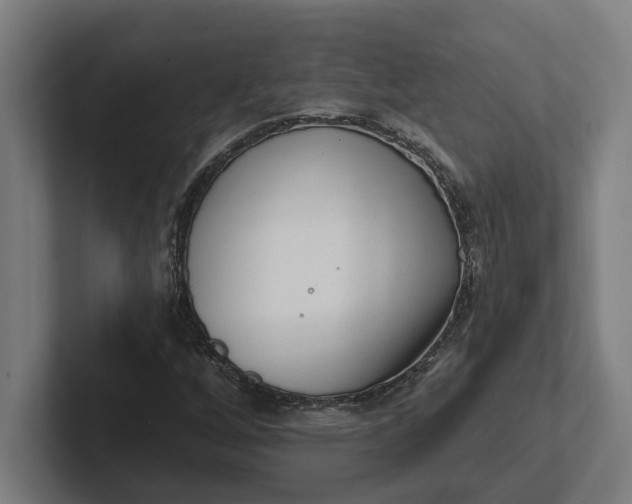 X0000102001256200808011114