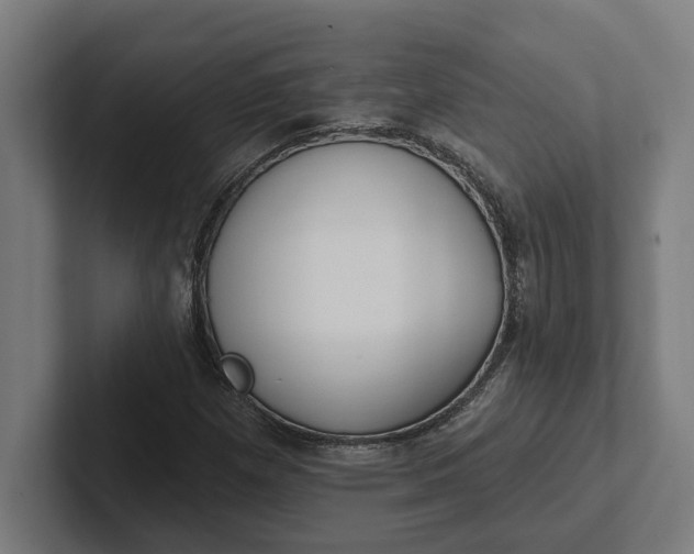 X0000102001257200808011114