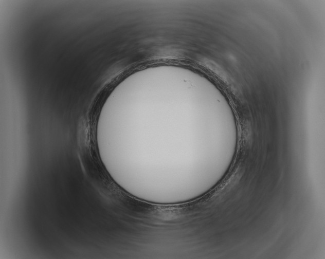 X0000102001258200808011114