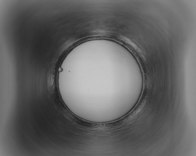 X0000102001259200808011114