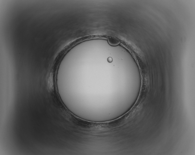 X0000102001262200808011114