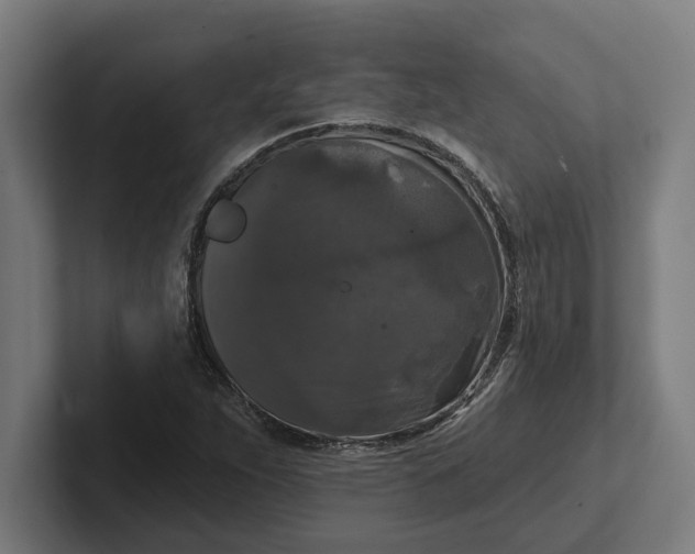 X0000102001263200808011114