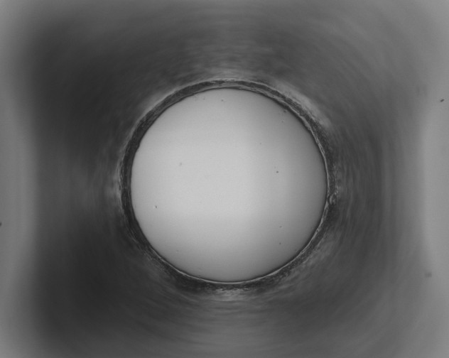 X0000102001264200808011114