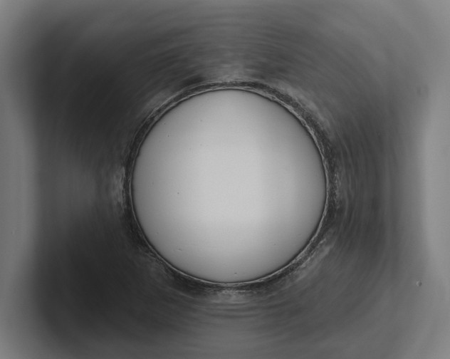 X0000102001265200808011114