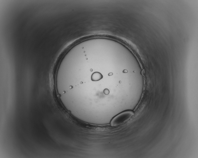 X0000102001271200808011114