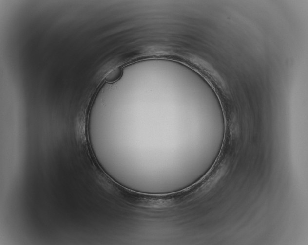 X0000102001273200808011114