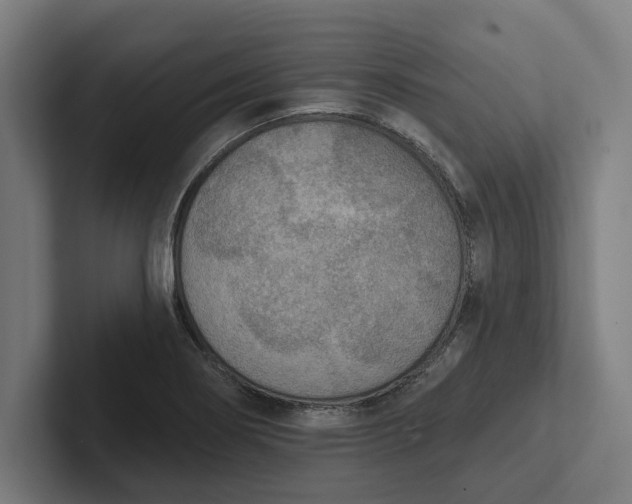 X0000102001274200808011114