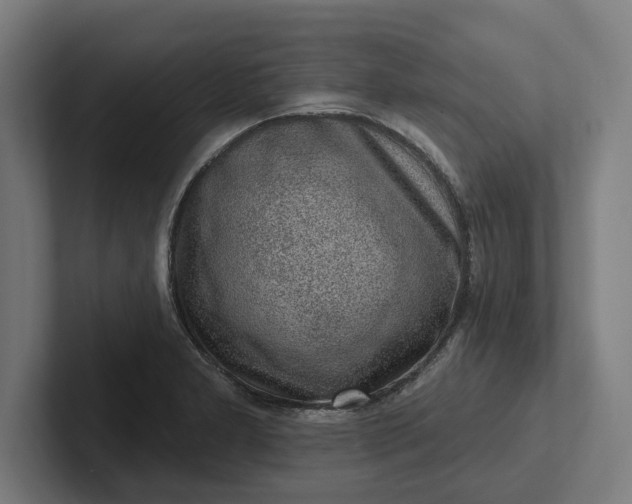 X0000102001277200808011114