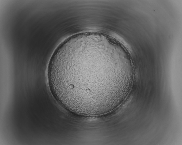 X0000102001283200808011114