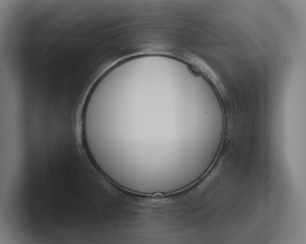 X0000102001284200808011114