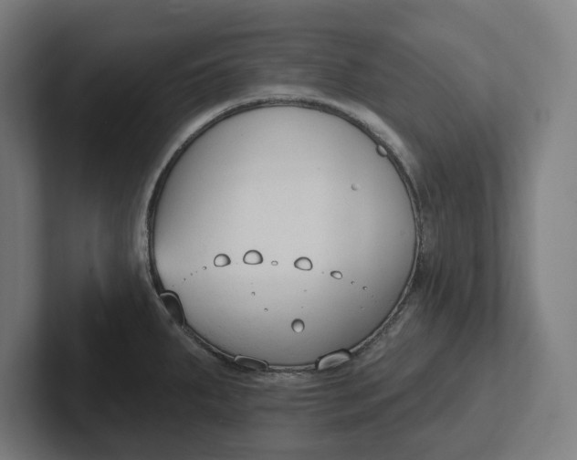 X0000102001287200808011114