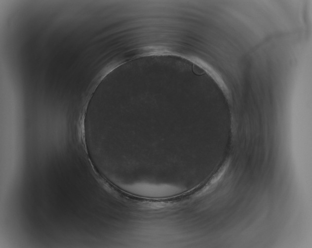 X0000102001289200808011114