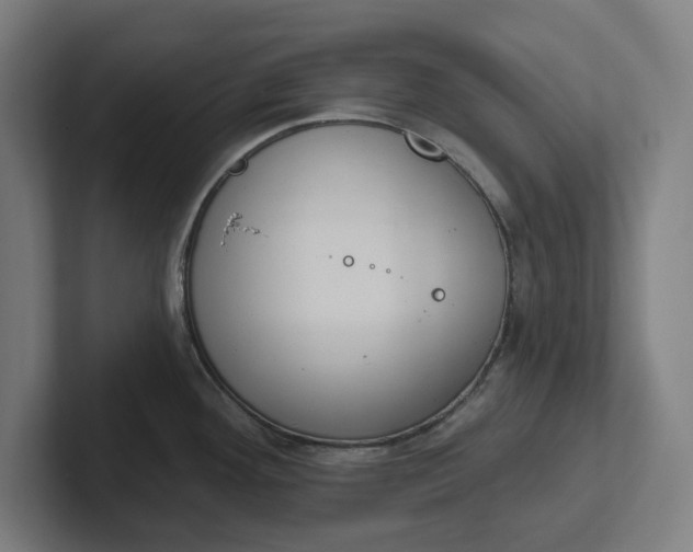 X0000102001292200808011114